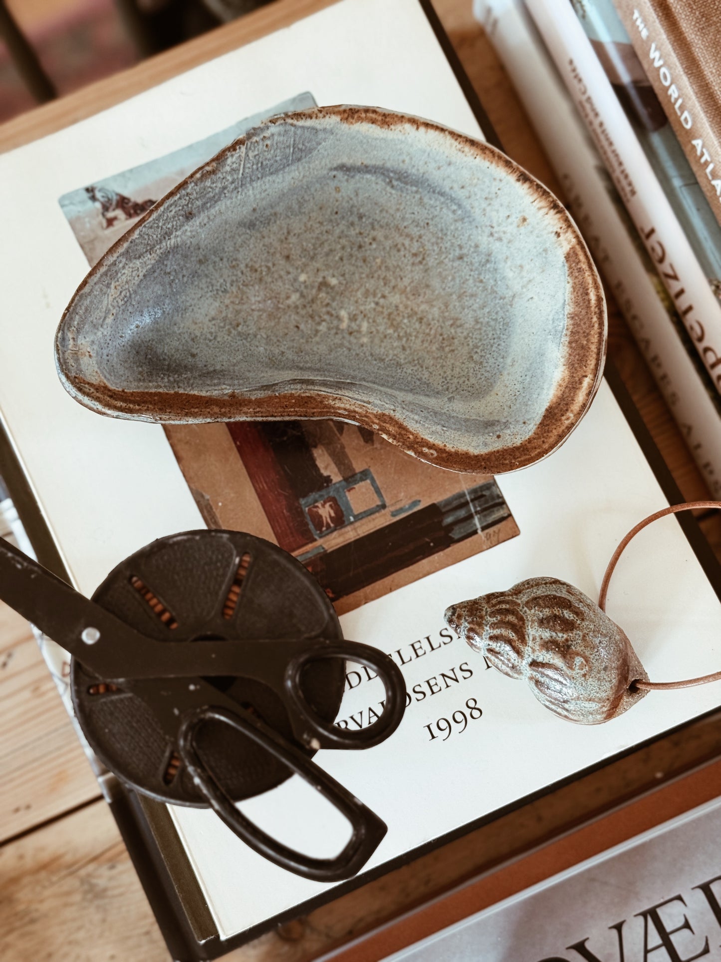 Limited Seashell