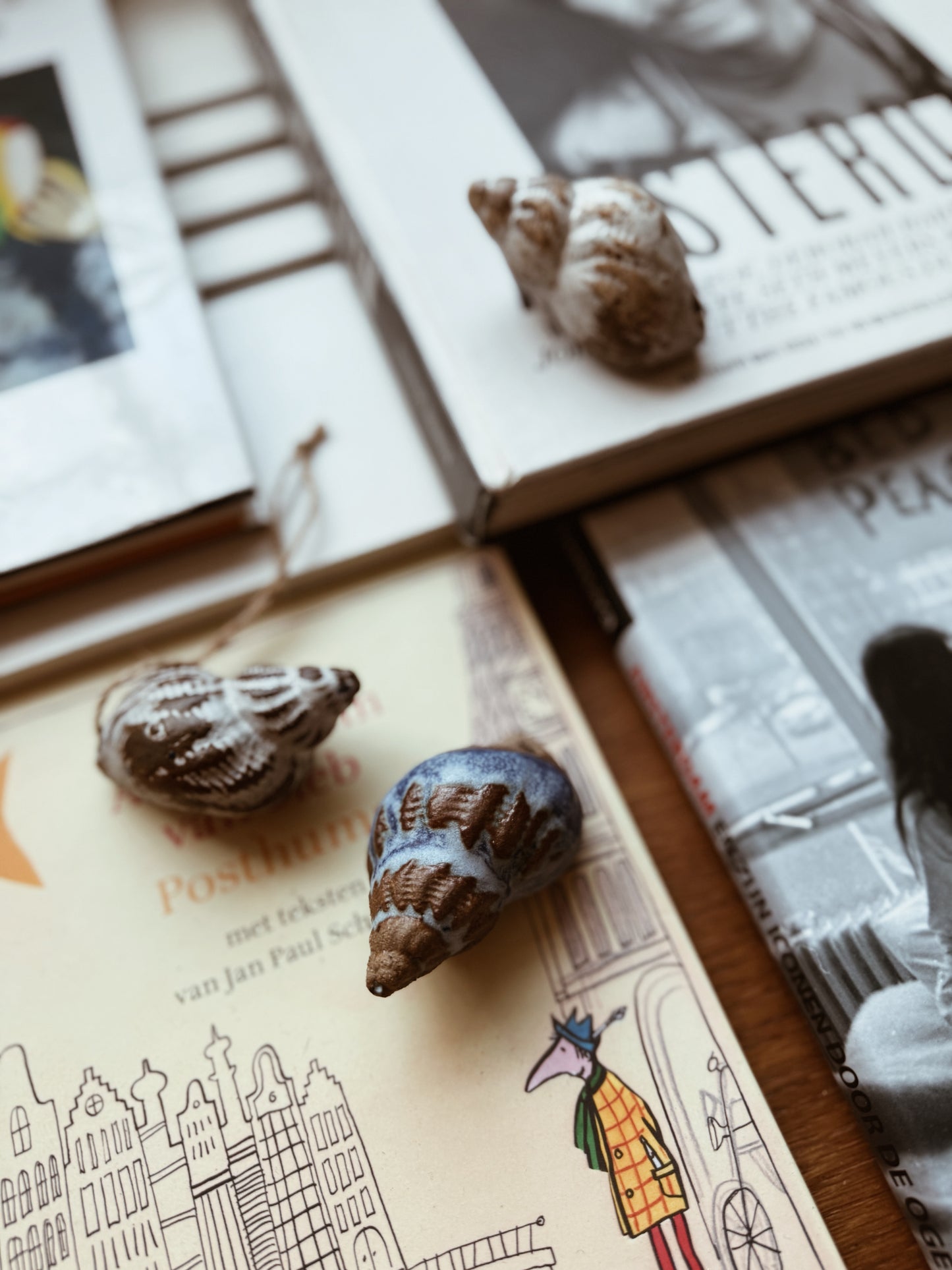 A Seashell ''souvenir'' 011