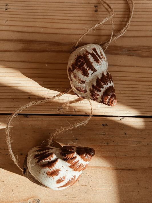 Seashell ''souvenir'' 017
